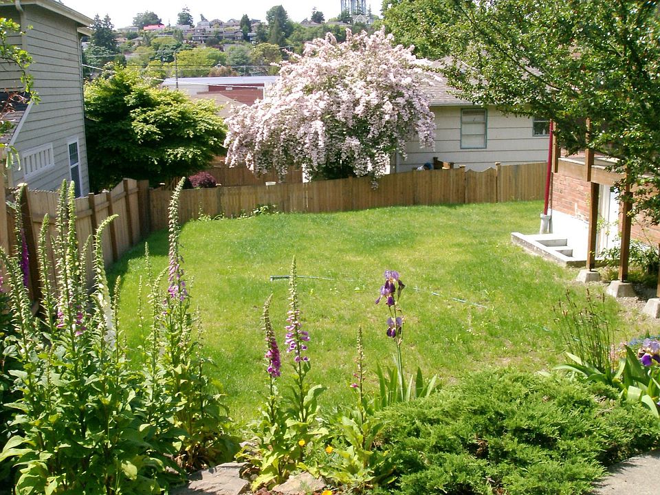 2nd image of 3117 W Dravus St