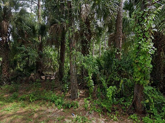 3rd image of 4095 Citrus Blvd