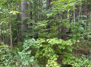 LOT 312 Cleveland Cir, Washington, NH 03280