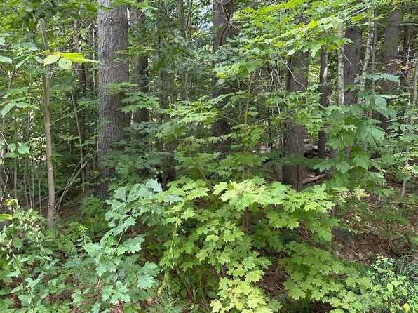 Lot 312 Cleveland Circle #312, Washington, NH 03280