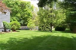 Yard rear of house