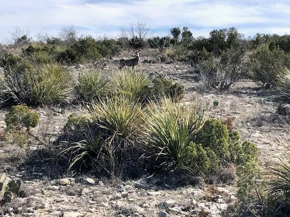 731 White Tail Way Trl #23 & 24, Ozona, TX 76943