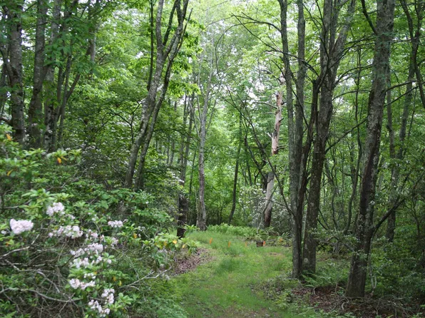 LOT 92 Summit Dr Lot 92, Monterey, VA 24465