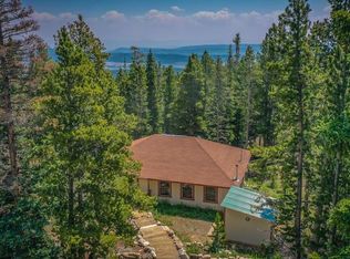 589 S Gold Trail Cir, Fairplay, CO 80440