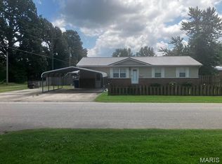 203 E Peck St, Malden, MO 63863