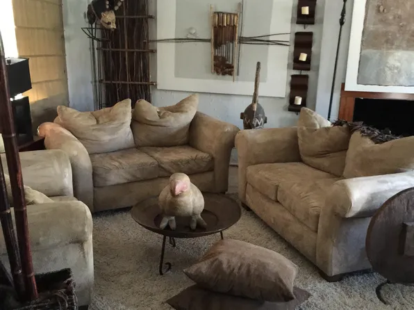 1408 W 41st St, North Little Rock, AR 72118