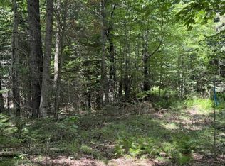 36 Seclusion Ln #36, Lyon Mountain, NY 12952
