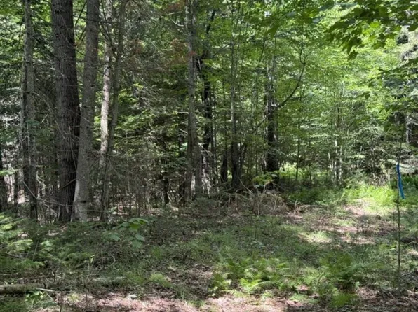 36 Seclusion Ln #36, Lyon Mountain, NY 12952