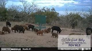 4th image of 313 County Road 313