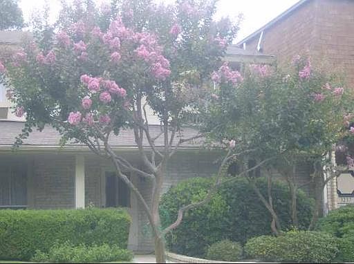 1st image of 3239 CASTLEDALE DR #39