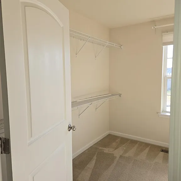 303 Ellis Ct — Photo 11