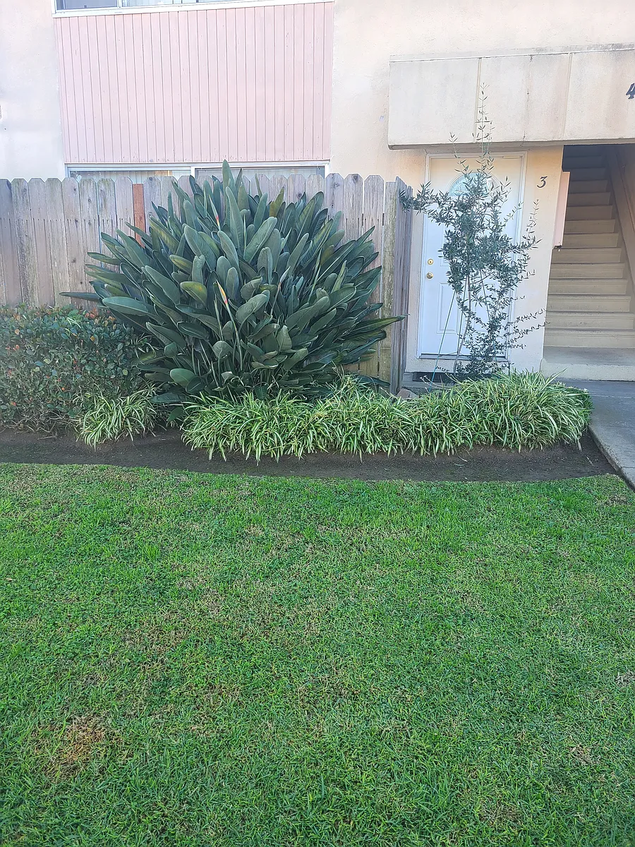Building Photo - 4704 Del Amo Blvd #1