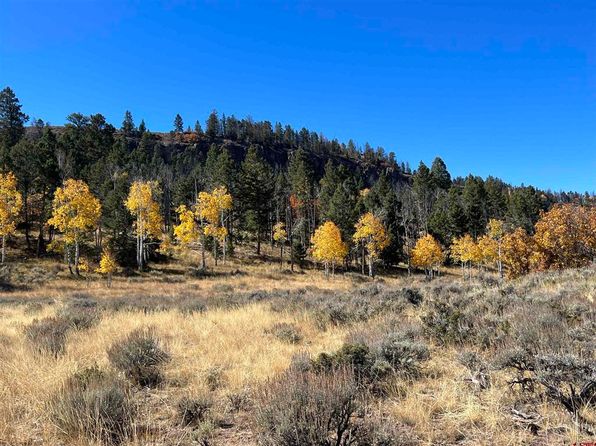 15493 & 15333 COUNTY ROAD 25 Road, Gunnison, CO 81230