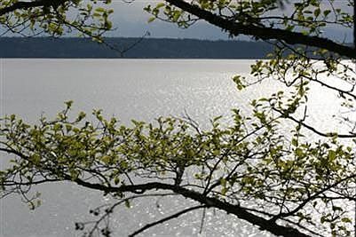 2nd image of 17002 Marine Dr