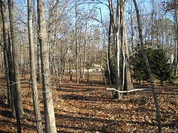 5th image of 404 Wild Duck Ct