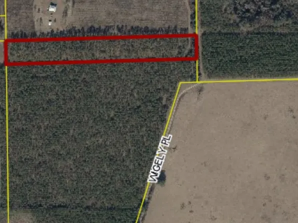 0 Wigely Pl, Live Oak, FL 32060