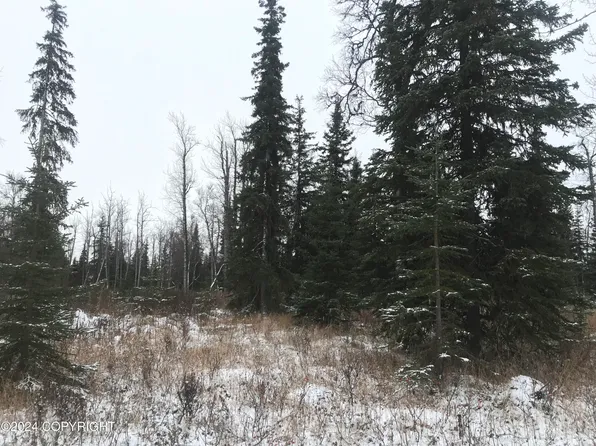 65173 Glenwood Ave, Ninilchik, AK 99639