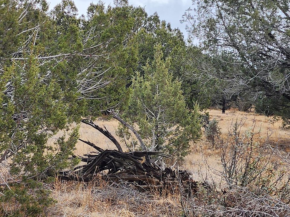 1st image of 719 N Verde Ln