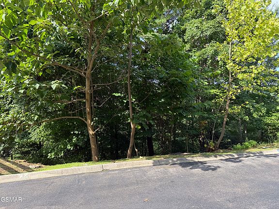 2nd image of 56 Smoky Ridge Way