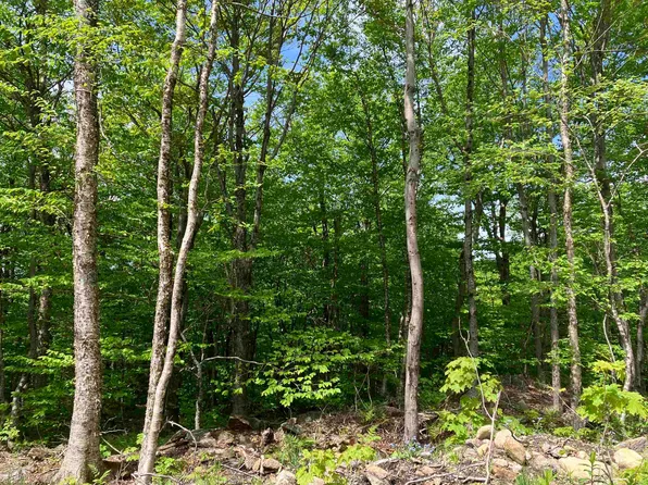 402 Fox Mt. Road #00CHM402.000, CHM403.000, Wilmington, VT 05363