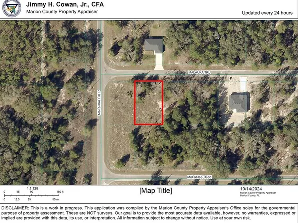 Malauka Trl Lot 23, Ocklawaha, FL 32179