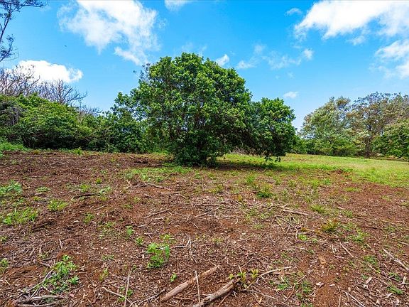 4th image of 2175 Kauhikoa Rd #7