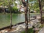Serene Surroundings