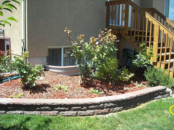 rose garden