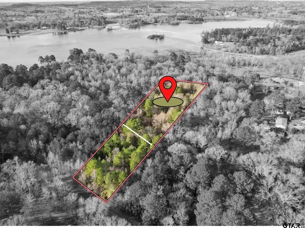 Cathy, Lone Star, TX 75668