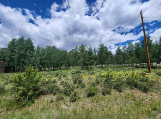0 Whale Dr, Lake George, CO 80827
