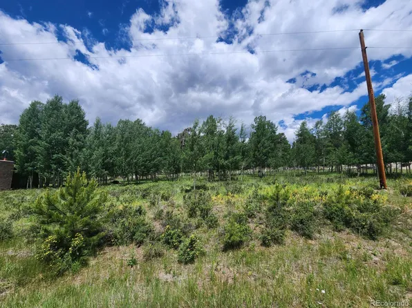 0 Whale Drive, Lake George, CO 80827