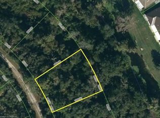 1217 Cacao Rd, Lake Placid, FL 33852