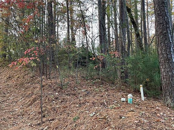 3rd image of 303 Long Reach Dr
