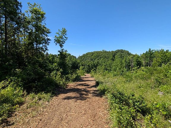 5th image of 0 Mills Rd
