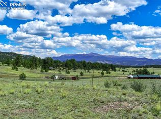 597 Meadow Ln, Guffey, CO 80820