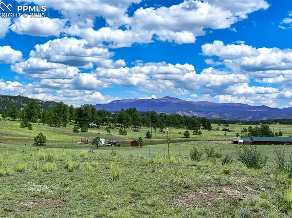 597 Meadow Ln, Guffey, CO 80820