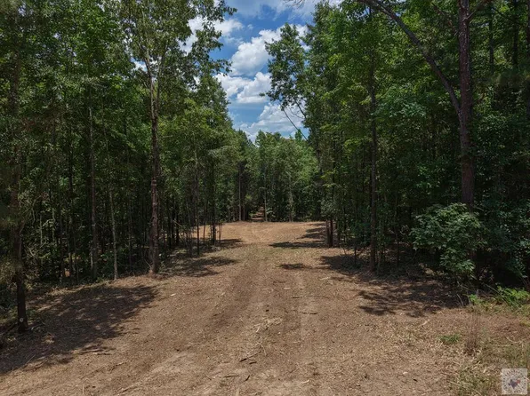 0 County Road 4452, Bivins, TX 75555