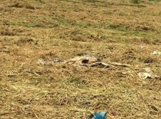 Anderson Rd, Port Murray, NJ 07865