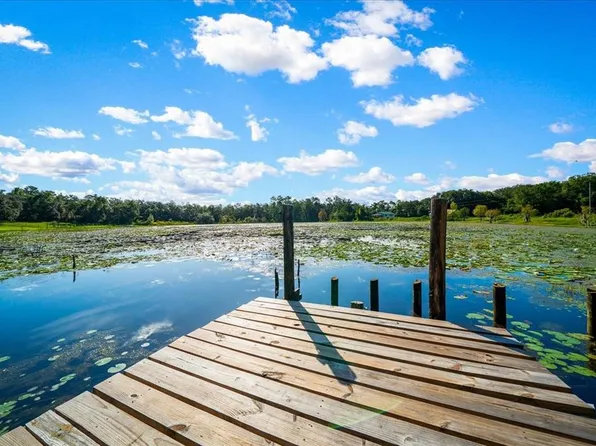 19358 SE 95th Pl, Ocklawaha, FL 32179