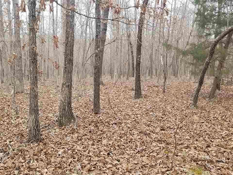 1st image of Red Oak Dr