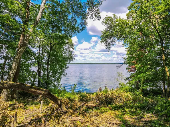 44698 Idas Rd, Osage, MN 56570