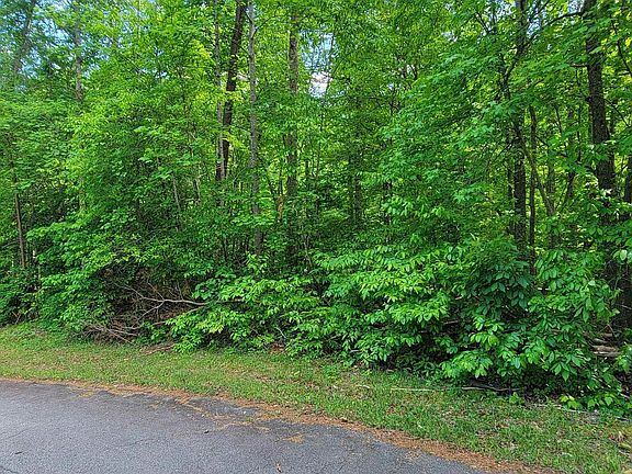 2nd image of 0 Lynden Loop