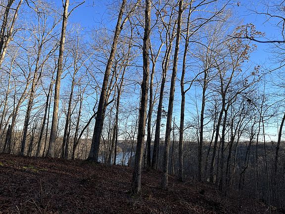4th image of 0 Mountain Harbor Trce Lot 8