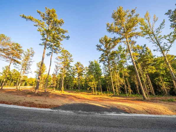 LOT 19 Cams Cov Old Hwy Lot 431-19, Wedowee, AL 36278