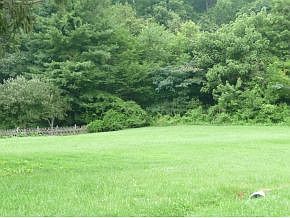 1st image of LOT 5 Meadow Lark St