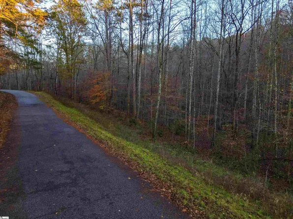 0 Sweet Gum Valley Rd, Travelers Rest, SC 29690