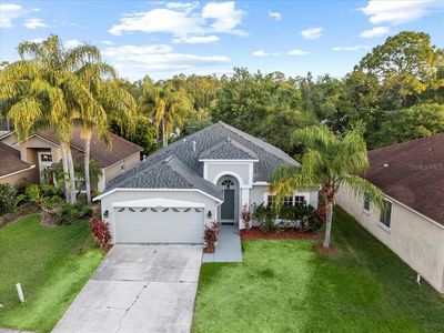 12531 Blazing Star Dr, Tampa, FL, 33626