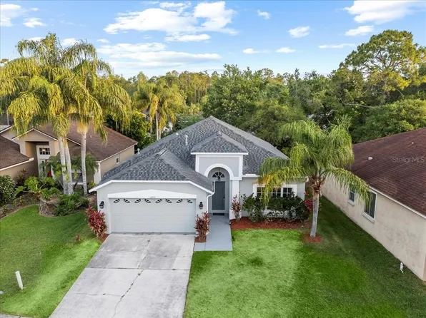 12531 Blazing Star Dr, Tampa, FL 33626