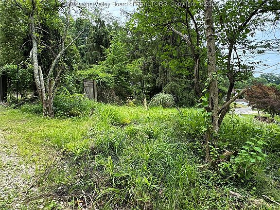 2nd image of 729 Gordon Dr