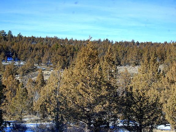 2nd image of Tl 3000 Ochoco Land & Livestock